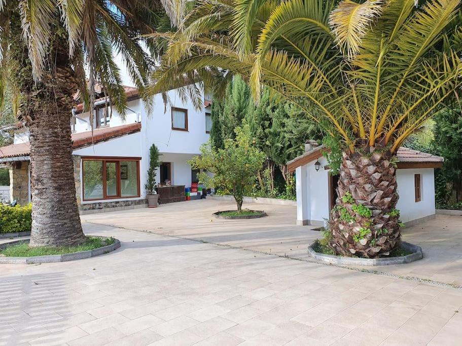 Villa Dreams And Friends On The Coast Of Bilbao. Getxo Exterior foto